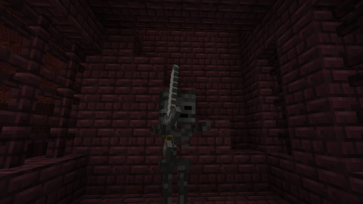 wither squelette dans le nether de minecraft