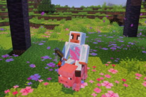 ce-skin-minecraft-inedit-ne-sobtient-quen-depensant-350-euros