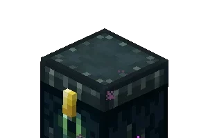 coffre de l'ender minecraft