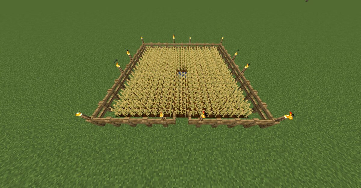 Champ de blé clôturé avec portillon pour accéder à l’enclos dans Minecraft.