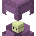 shulker minecraft