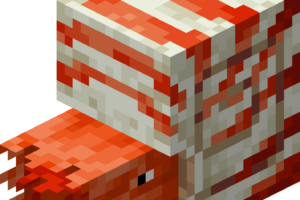 Nautile Minecraft - Tout savoir sur ce mob aquatique nautile minecraft