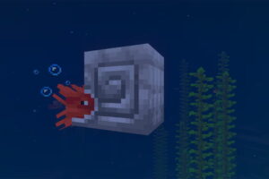 Comment faire l'armure de Nautile dans Minecraft ? armure de nautile minecraft
