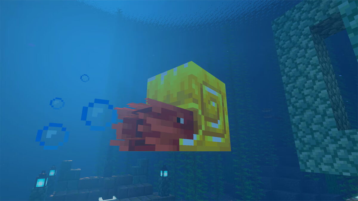 armure de nautile en or minecraft