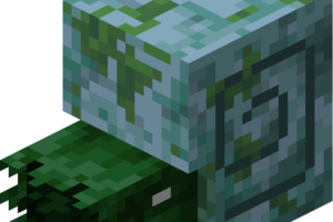 Nautile zombie Minecraft - Tout savoir sur ce mob aquatique nautile zombie minecraft