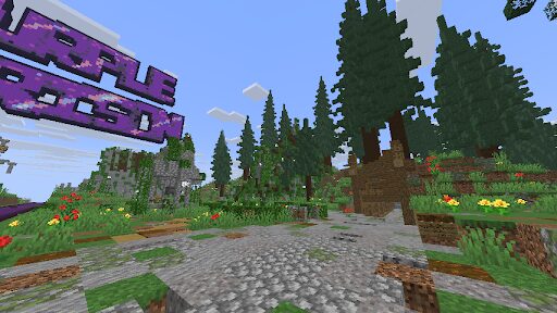 Top 10 des meilleurs serveurs Minecraft Survie purple prison