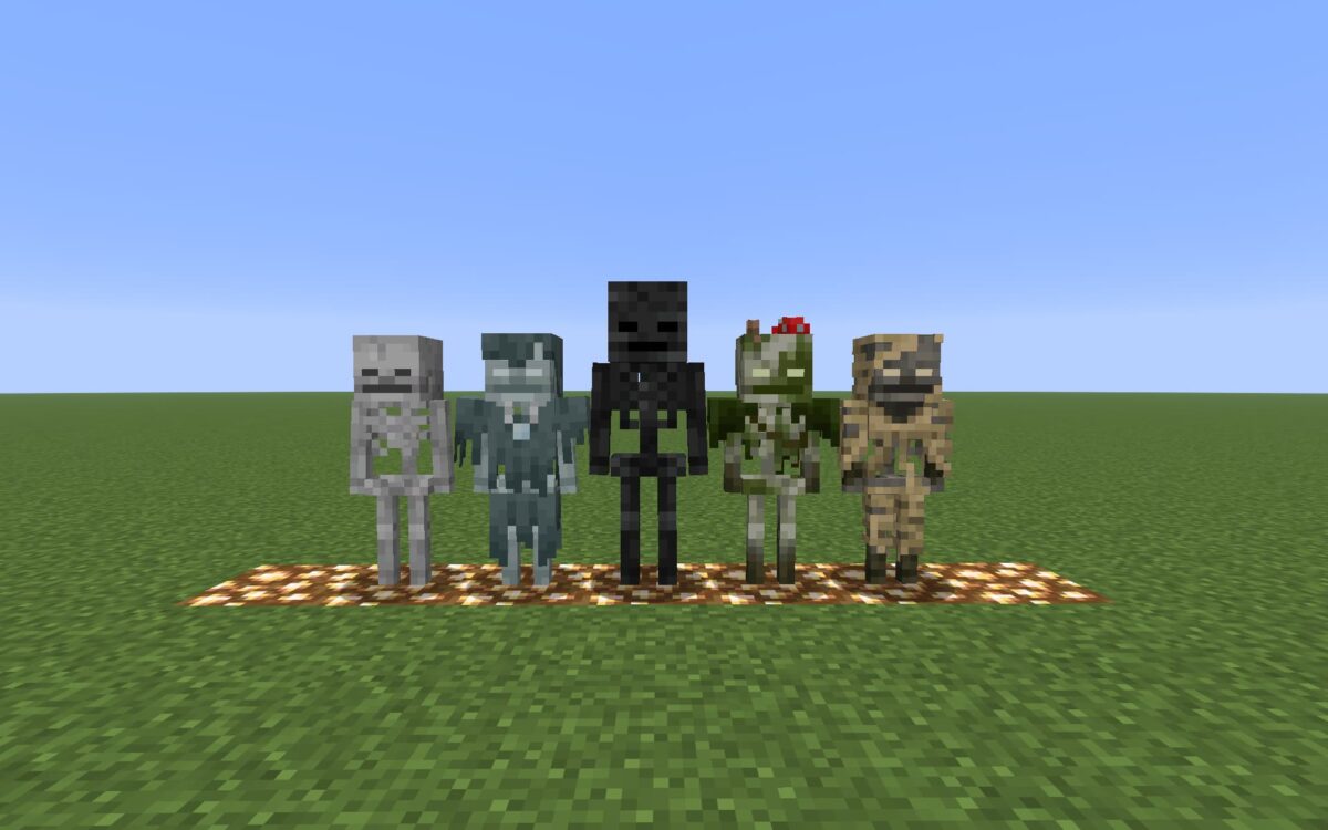 Comparaison entre un desséché et les autres types de squelettes de Minecraft Java Edition.