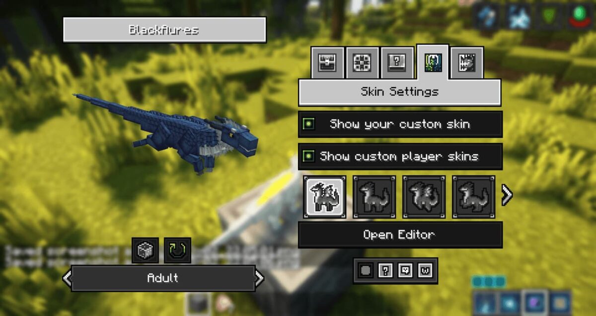 menu de personnalisation des skins de dragon dans le mod Dragon Survival pour Minecraft