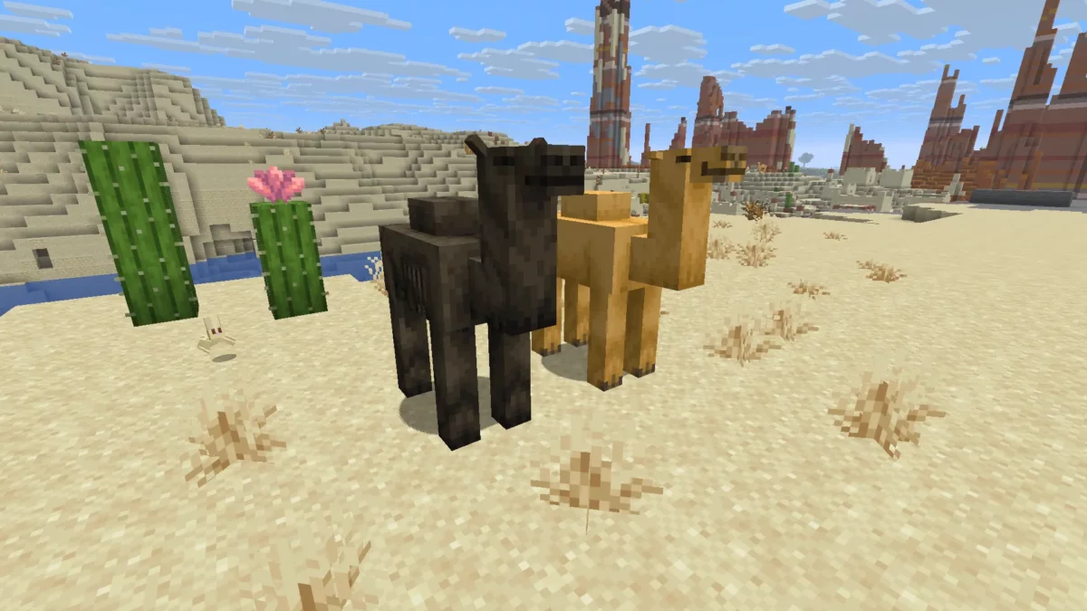 comparaison dromadaire momifié et dromadaire normal minecraft