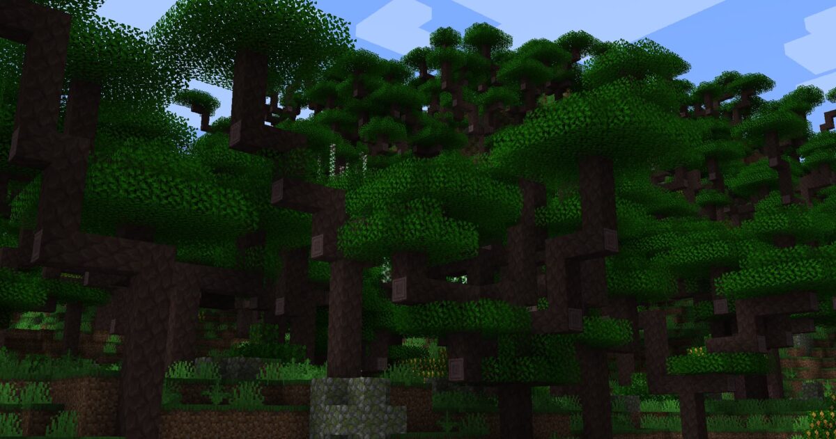 mod Minecraft Atmospheric présentant une forêt dense aux arbres aux troncs noueux et à la canopée épaisse
