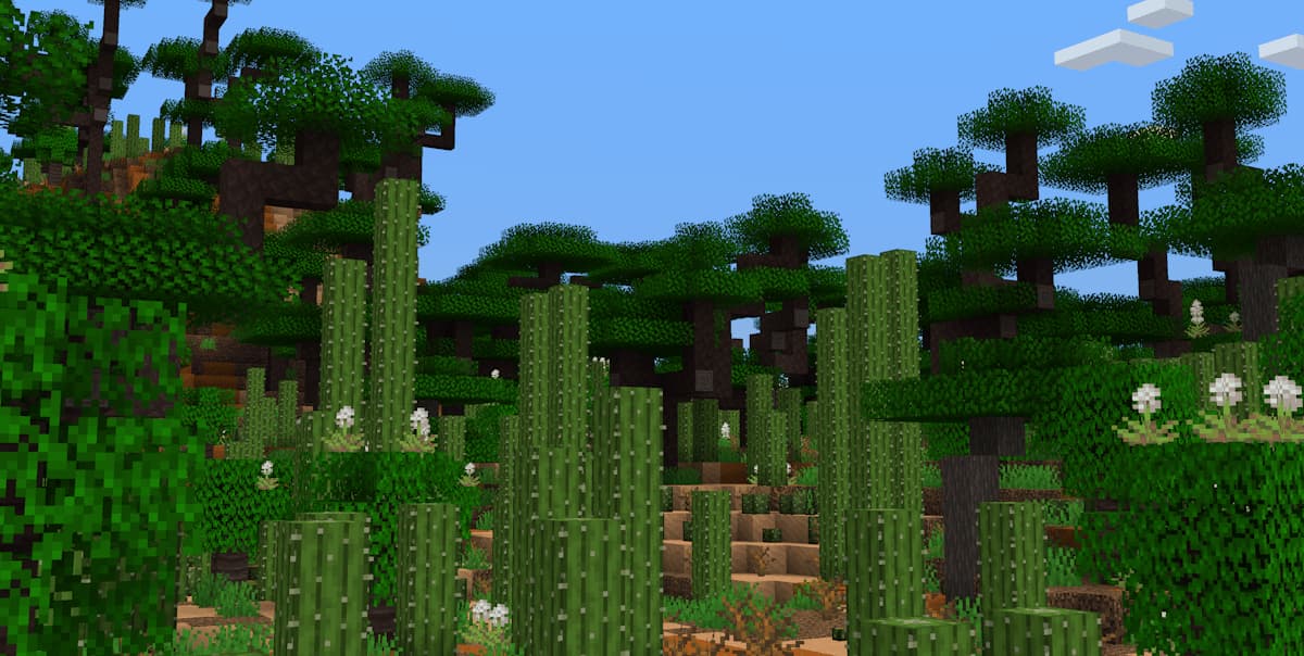 mod Minecraft Atmospheric montrant un spiny thicket dense avec de grands cactus et une végétation sèche