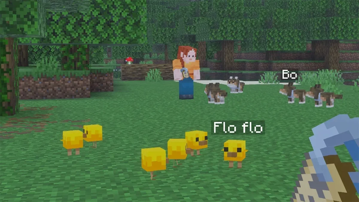 Bebes animaux renommes dans Minecraft avec poussins jaunes et louveteaux autour d un personnage
