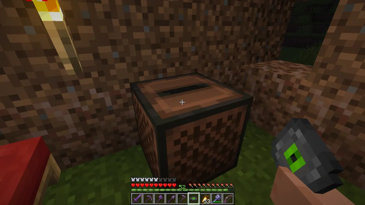 mod Minecraft Hold My Items montrant la compatibilité avec Fresh Discs, avec les mains visibles tenant un disque et un lecteur en vue à la premiere personne