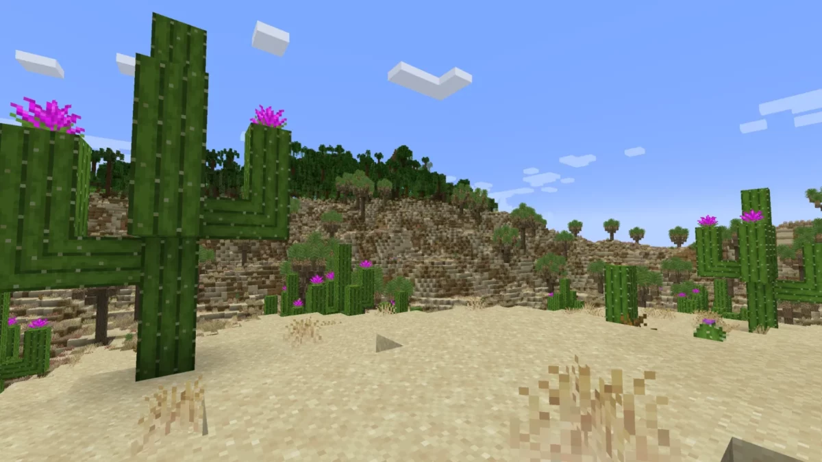 Biome désertique avec cactus saguaros et collines arides dans le mod Minecraft Regions Unexplored, montrant une végétation rare mais structurée.