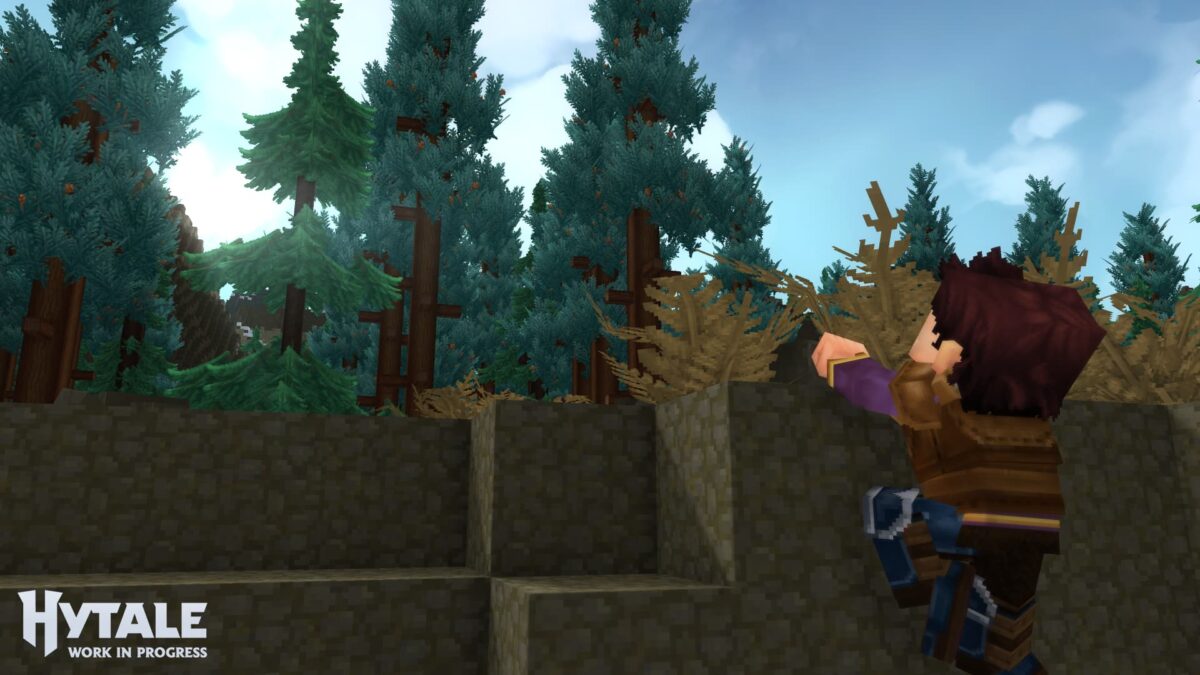 jouer à hytale