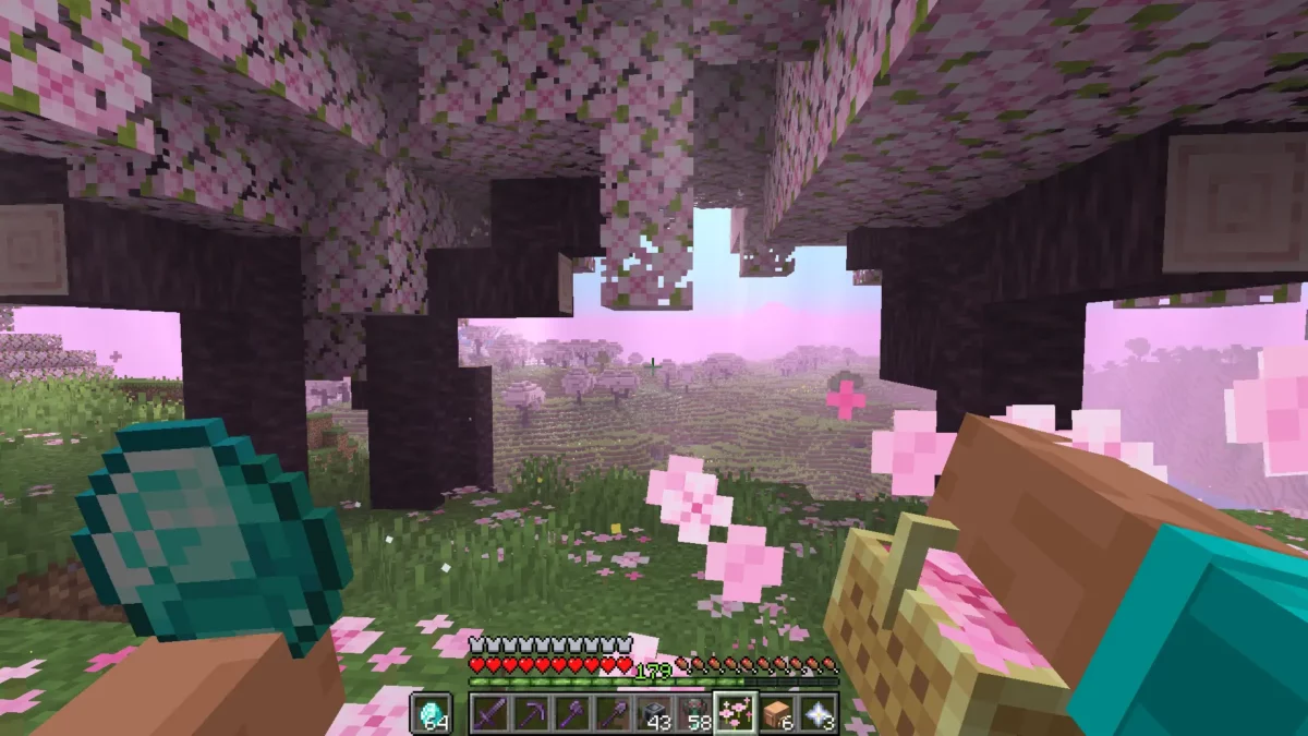 mod Minecraft Hold My Items illustrant des paniers contenant des petales roses et des elements naturels, affiches en main avec des effets physiques