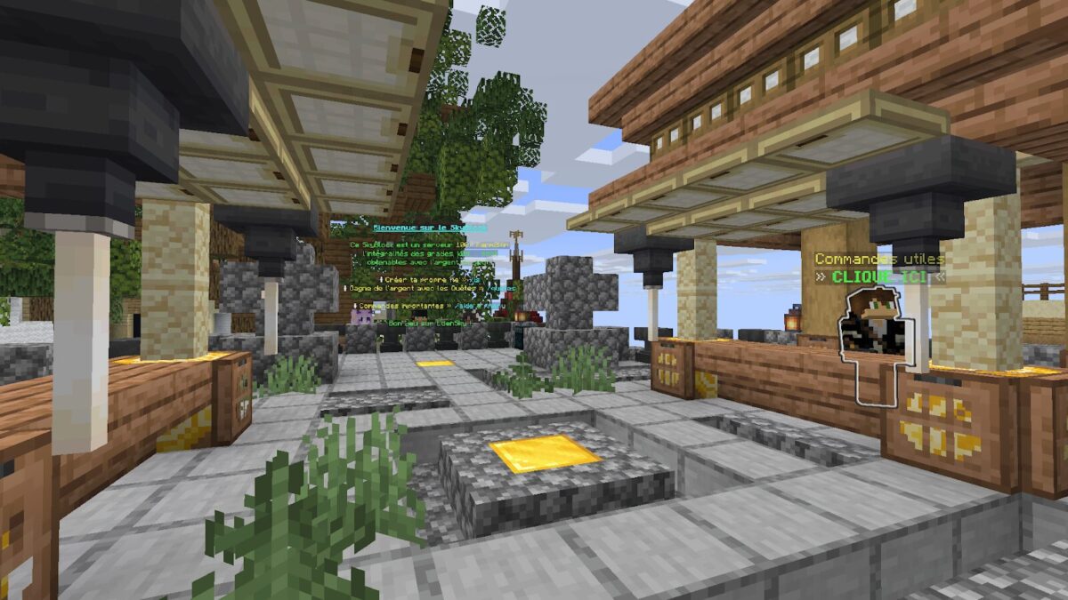 Top 10 des meilleurs serveurs Minecraft Skyblock EdenSky
