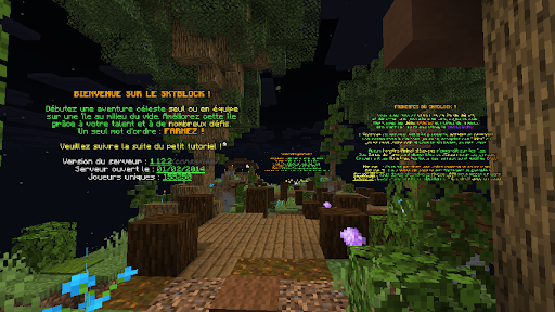 Top 10 des meilleurs serveurs Minecraft Skyblock Just2Craft