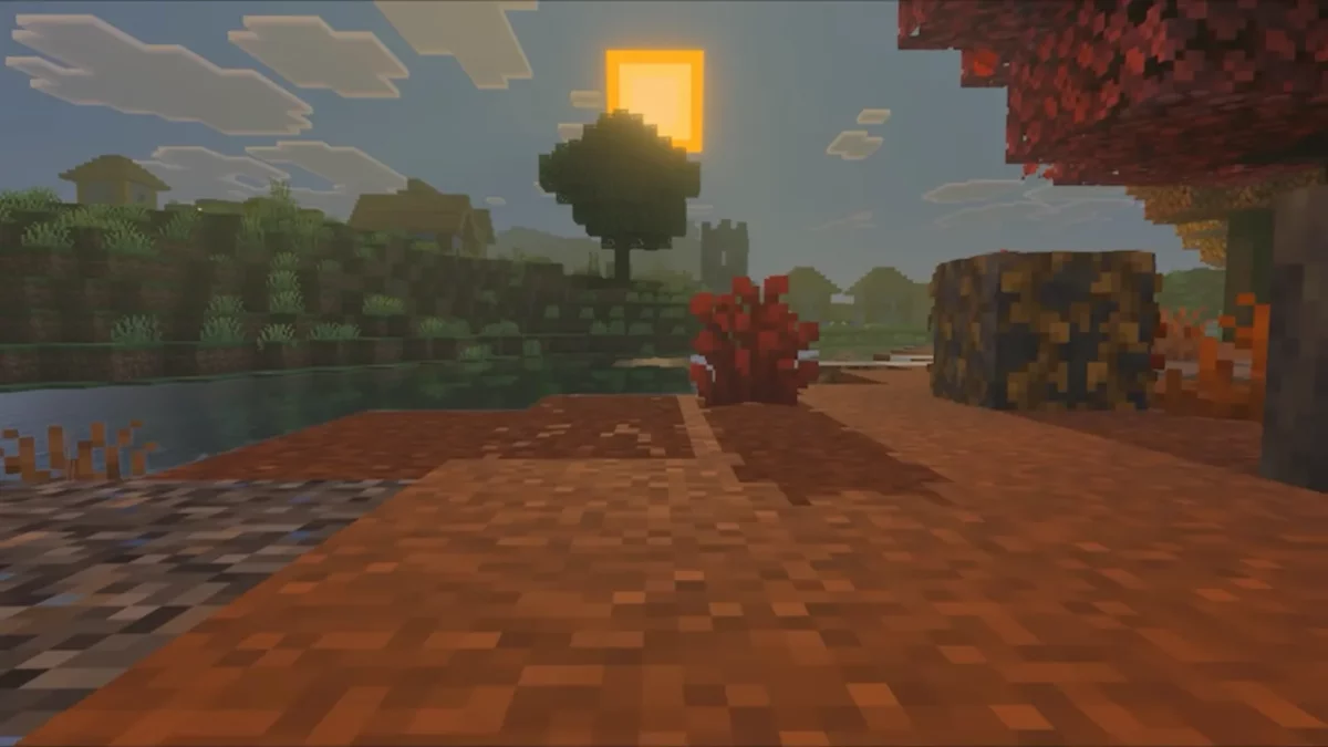 Minecraft arbuste rouge au premier plan à la frontière entre une forêt de peuplier et une plaine