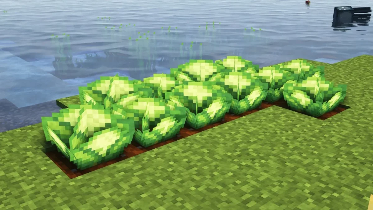 pack de texture Minecraft Fancy Crops choux du mod Farmer's Delight retexturés en bordure d'eau