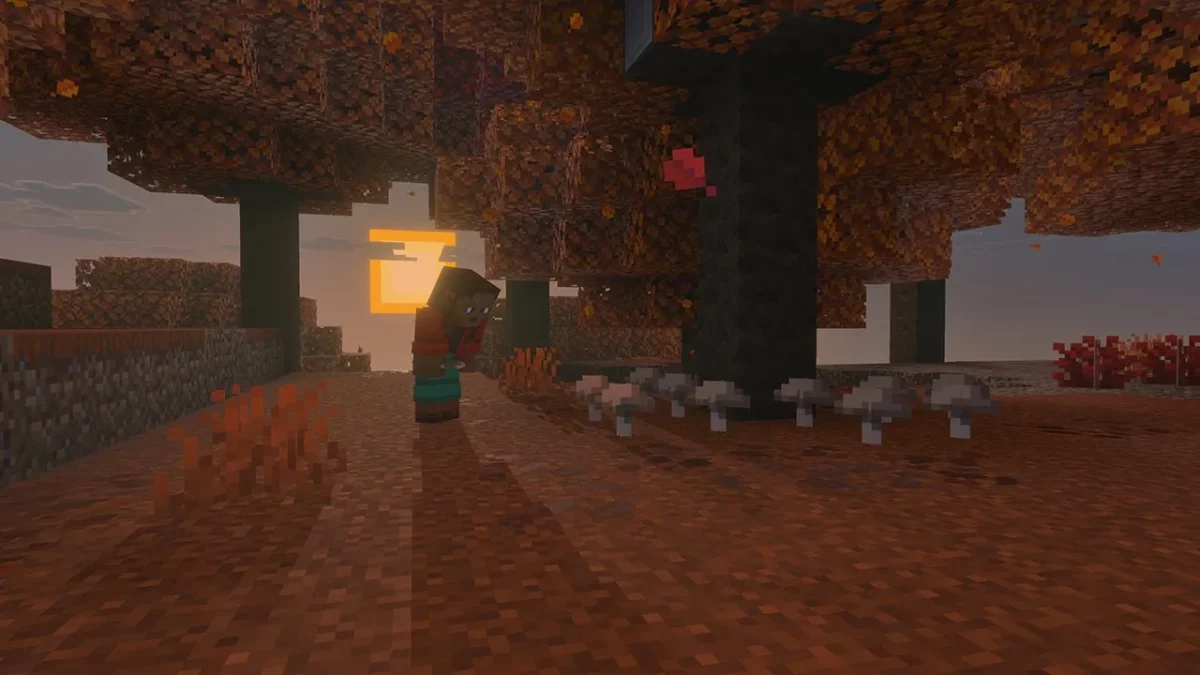 Biome dappled forest aux feuillages orangés et au sol couvert de tapis ocres dans Minecraft, drop 3 de 2026