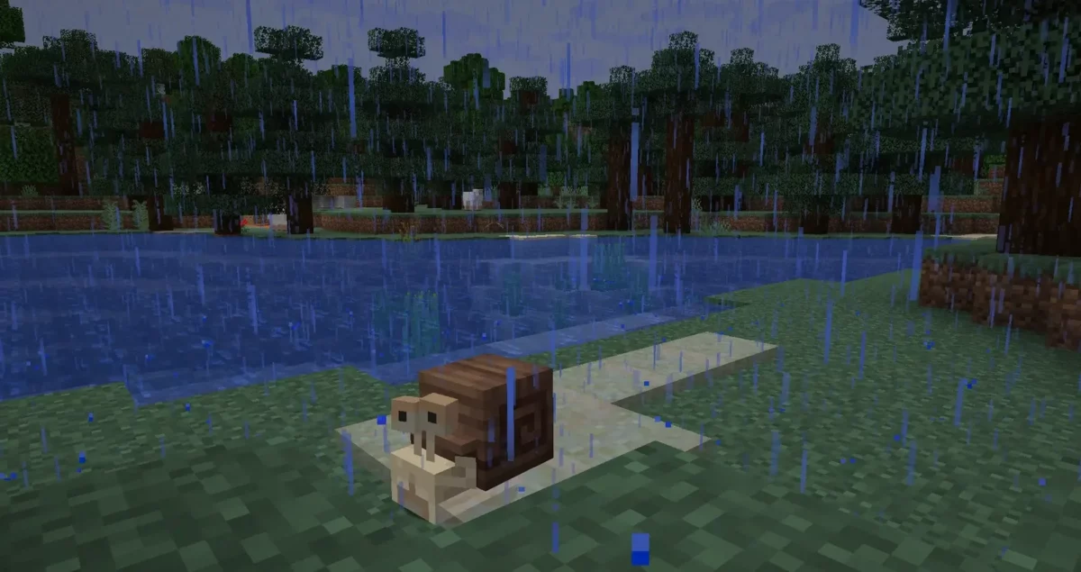 mod Minecraft Spawn escargot brun à coquille sur du sable au bord d'une forêt de taïga sous la pluie