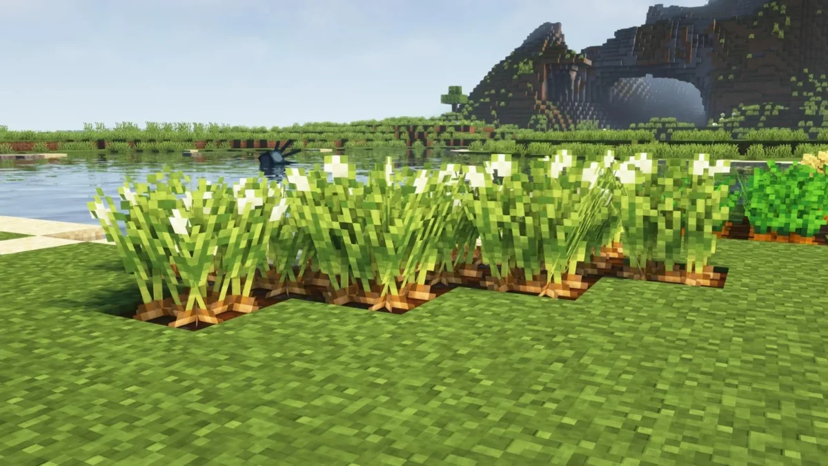 pack de texture Minecraft Fancy Crops culture de pommes de terre en floraison au bord d'un plan d'eau