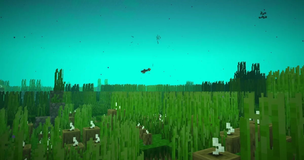 mod Minecraft Spawn biome prairie de seagrass avec un hareng visible au milieu des herbes denses