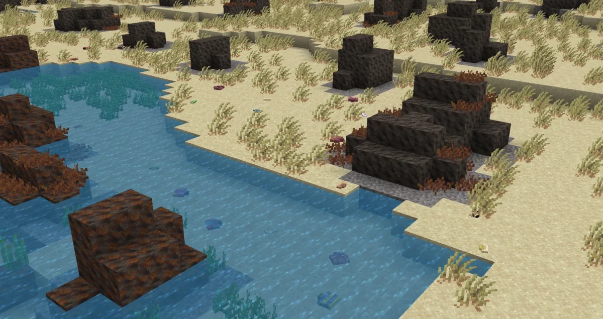 mod Minecraft Spawn rivage rocheux avec palourdes éparpillées sur le sable et le fond marin