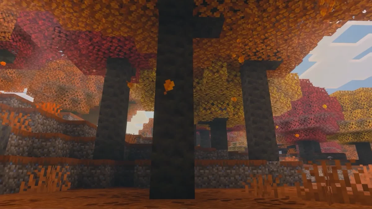Minecraft forêt de peuplier vue au sol avec de hauts troncs sombres et un feuillage coloré
