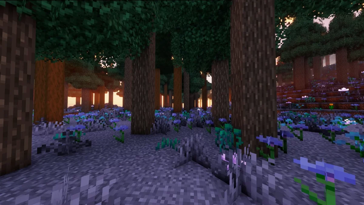 shader Minecraft Derivative Shader sous-bois au crepuscule avec de grands arbres des fleurs bleues et des rayons de lumiere
