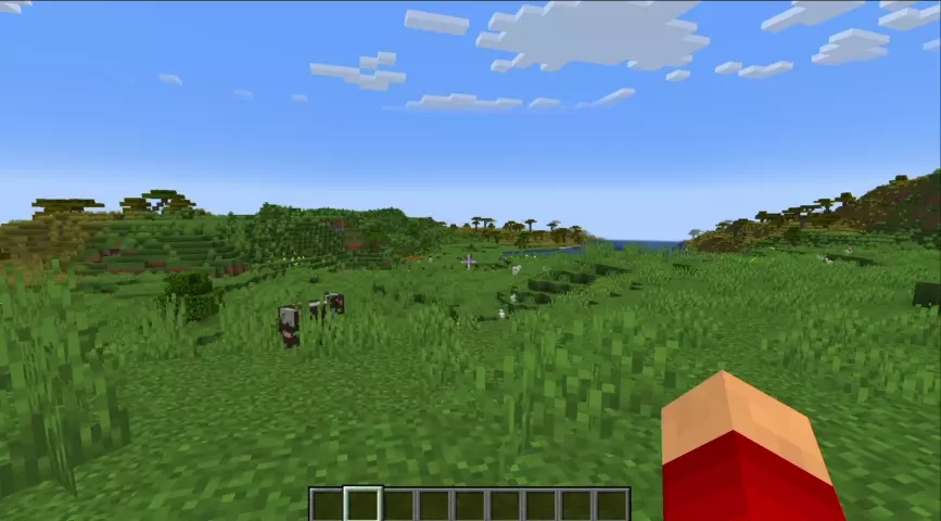mod Minecraft Zoomify aperçu du zoom appliqué sur un paysage lointain du jeu