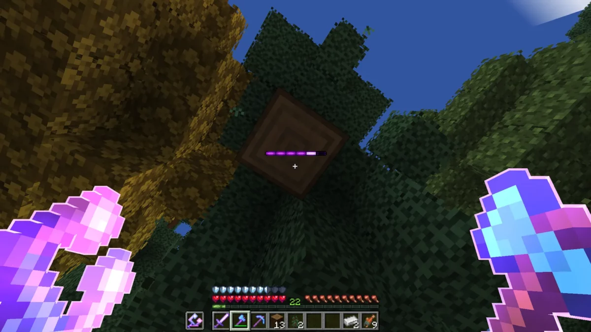 Attracteur enchanté d’Enderscape entouré du liseré violet créé par Enchantment Outlines dans Minecraft