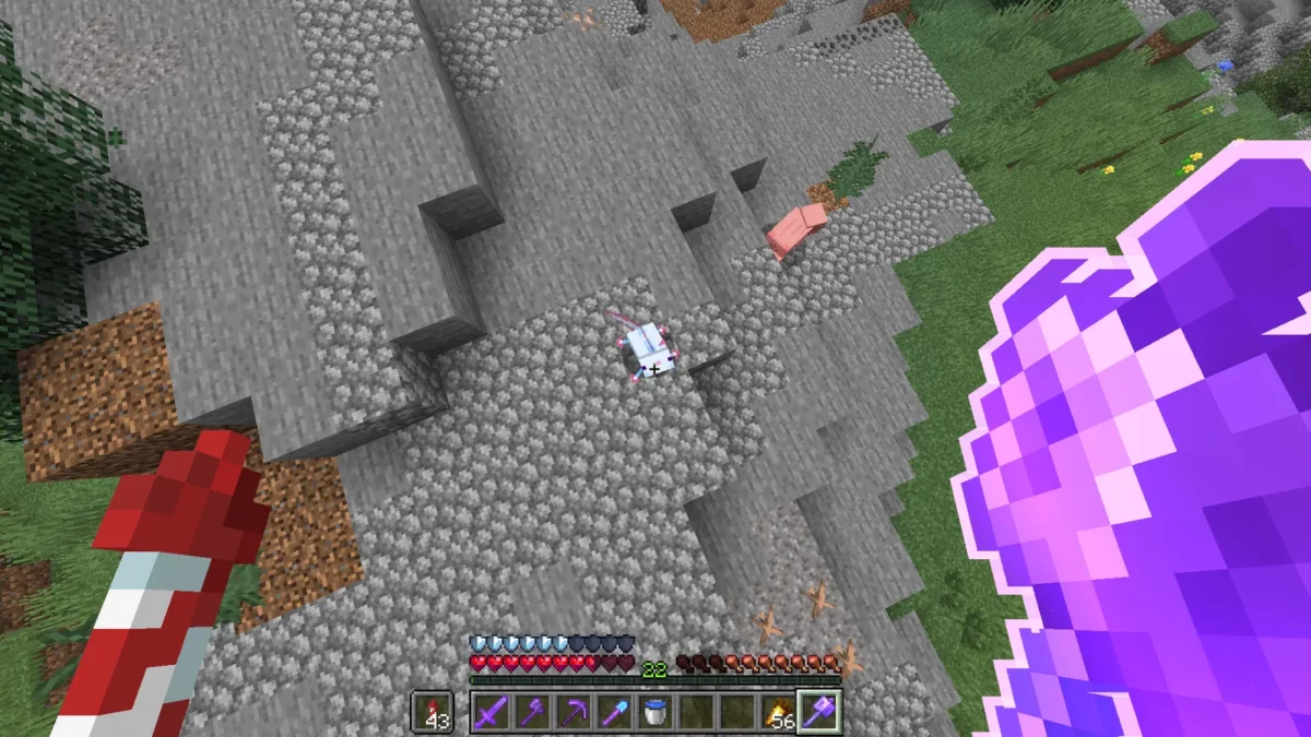 Masse enchantée en deux dimensions utilisée contre un axolotl avec Enchantment Outlines dans Minecraft