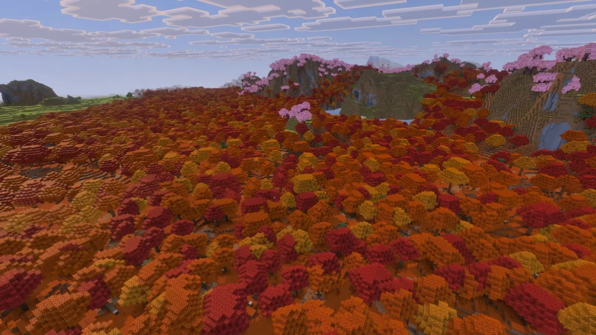 Immense forêt tachetée de Minecraft vue du ciel, feuillages rouges orange et jaunes à perte de vue, bordée par un bosquet de cerisiers rose