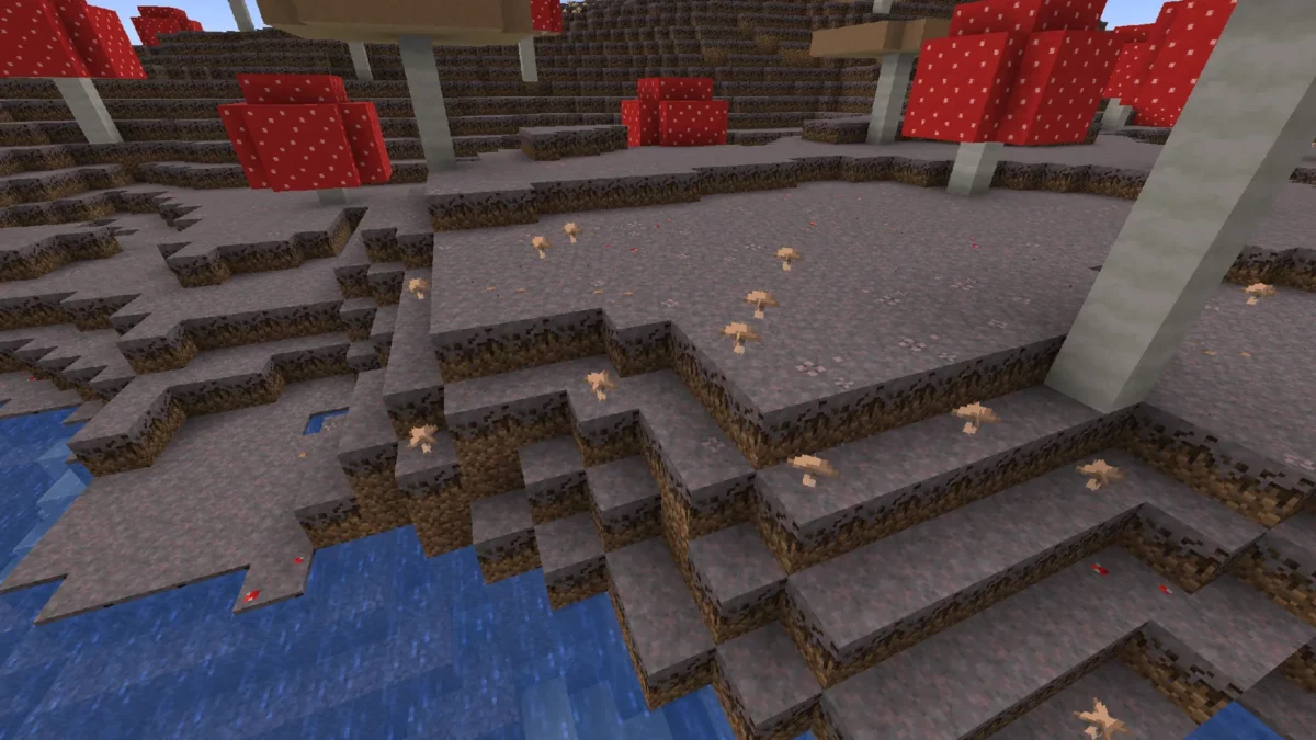 Mycélium orné de petits champignons par Simple Grass Flowers dans Minecraft