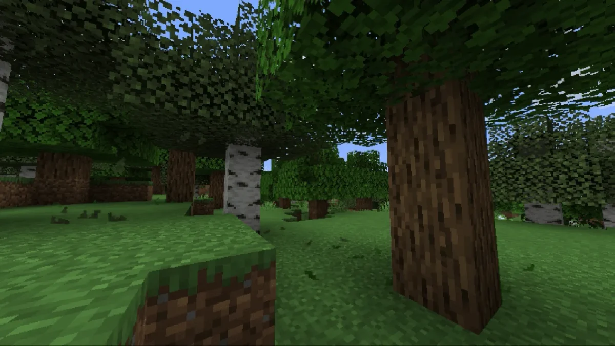 Particules de feuilles tombant sous les arbres grâce au mod Falling Leaves dans Minecraft