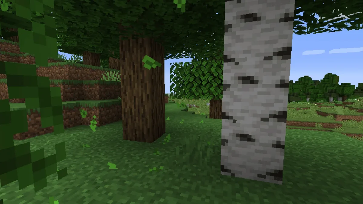 Grandes particules vertes descendant entre un chêne et un bouleau dans Minecraft
