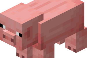 Cochon Minecraft : nourriture, reproduction, selle et variantes Cochon tempéré adulte de Minecraft vu de trois quarts sur fond transparent