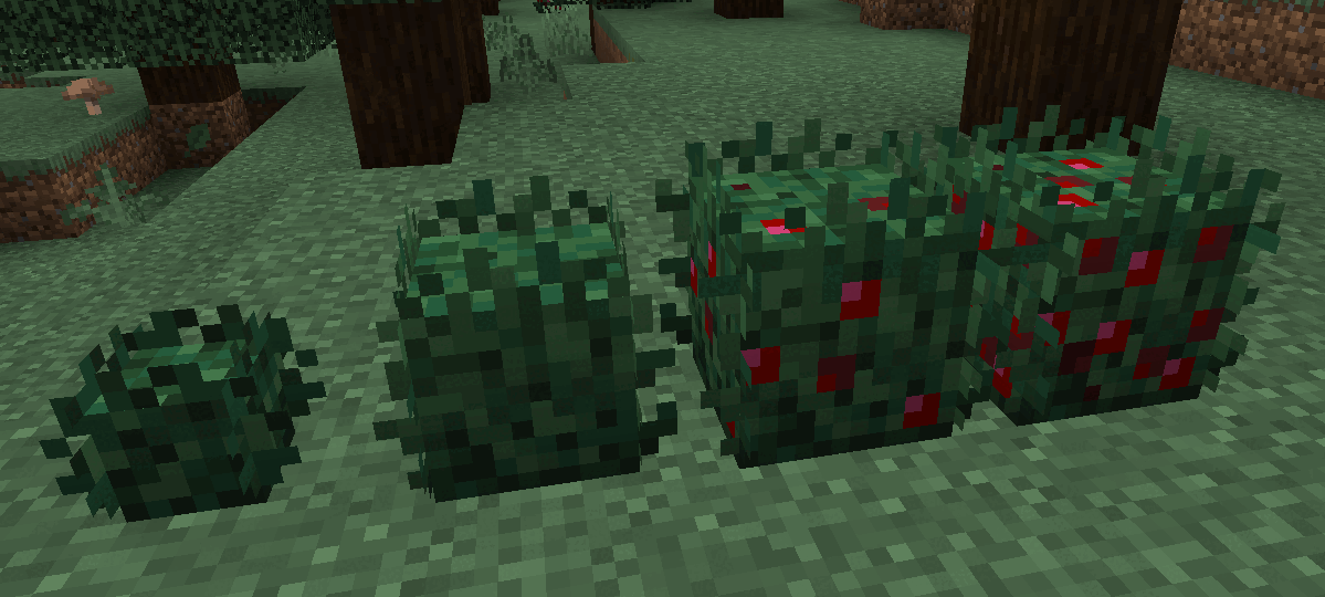 Arbustes à baies Minecraft à plusieurs stades montrant les modèles ordinaires puis les volumes du pack Bushier Bushes
