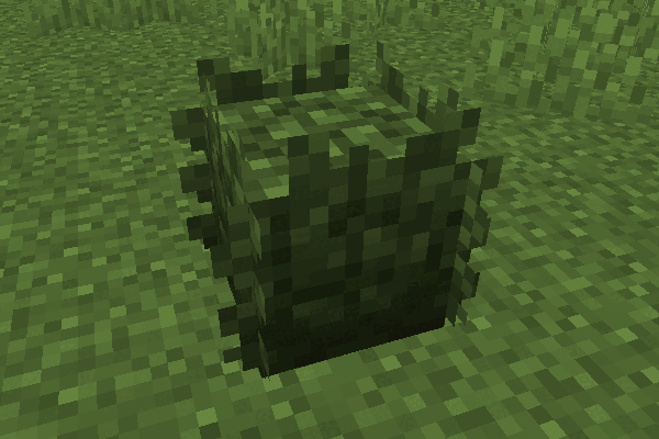 Comparaison du buisson Minecraft sans le pack puis avec le modèle plus dense de Bushier Bushes