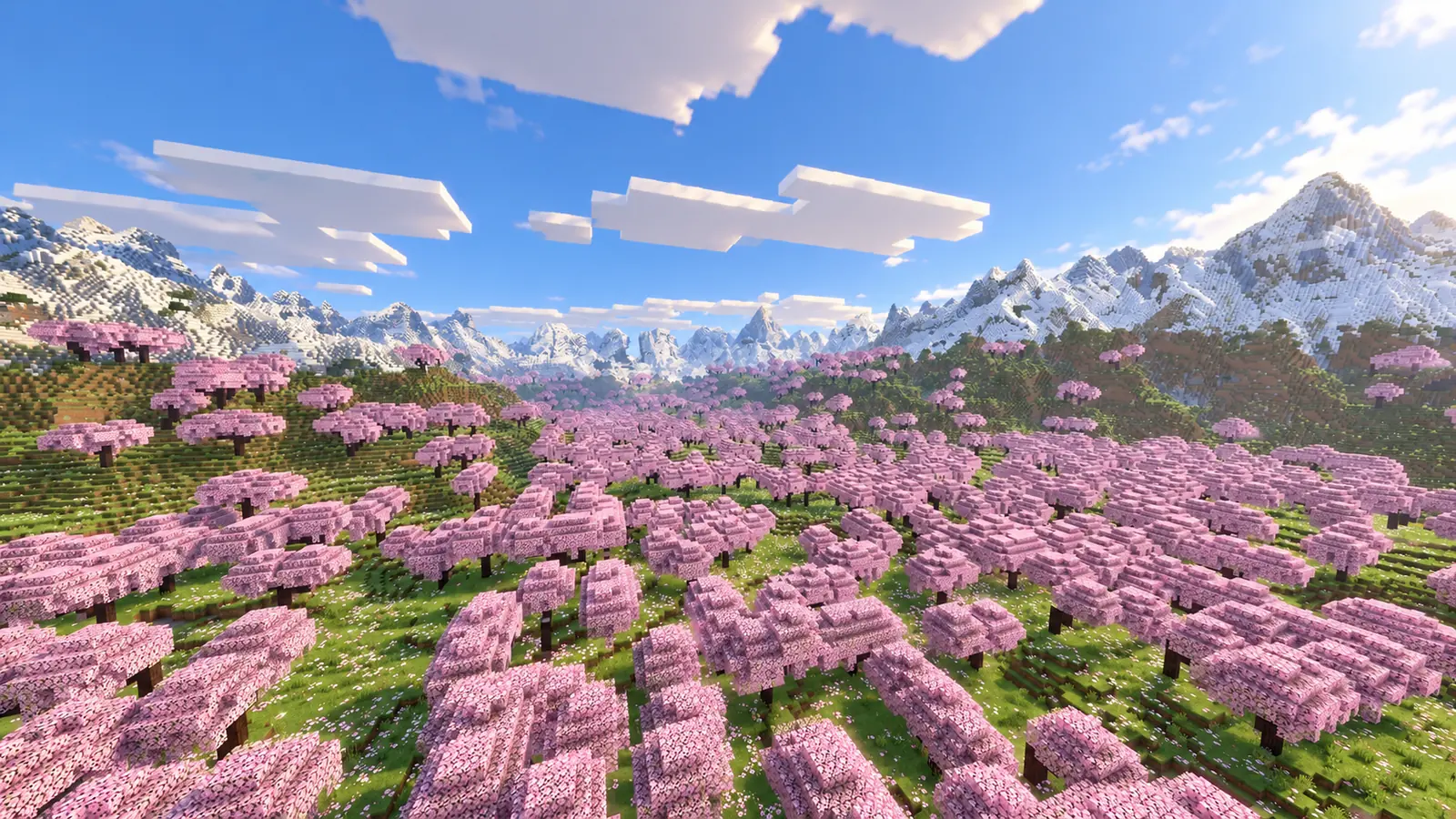 Immense bosquet de cerisiers roses remplissant un cirque montagneux bordé de hauts pics enneigés dans Minecraft