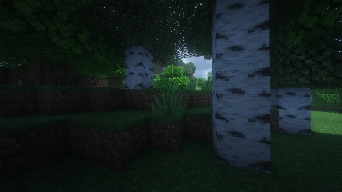 Paysage boisé Minecraft réunissant bouleaux et chênes aux textures adoucies du pack de ressources Clayful
